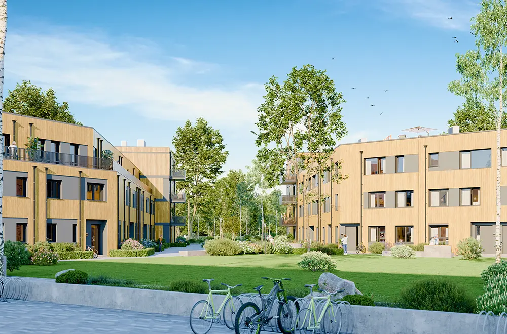 3Linden1